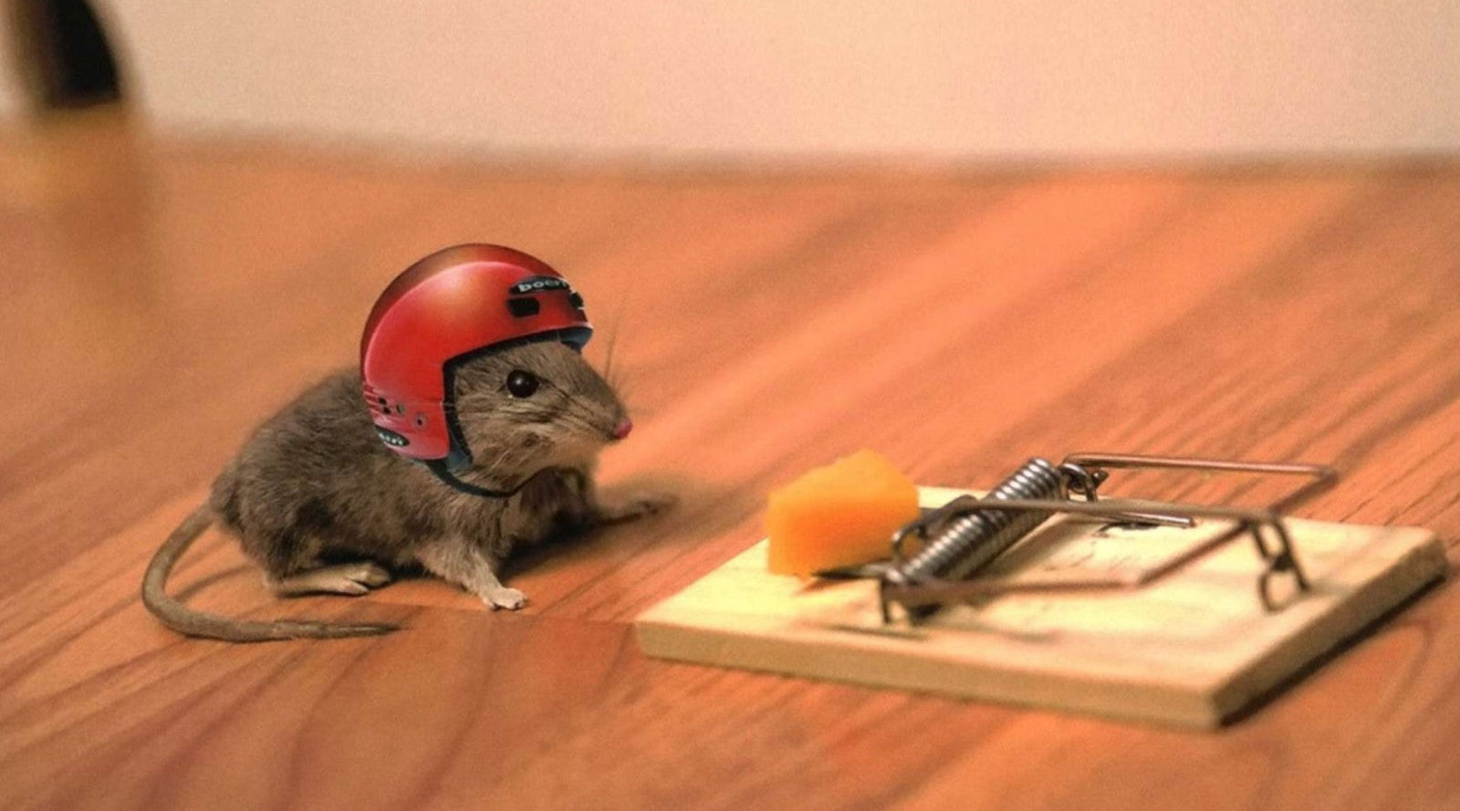 Quit Chasing The Cheese, with Andy Frisella - MFCEO283