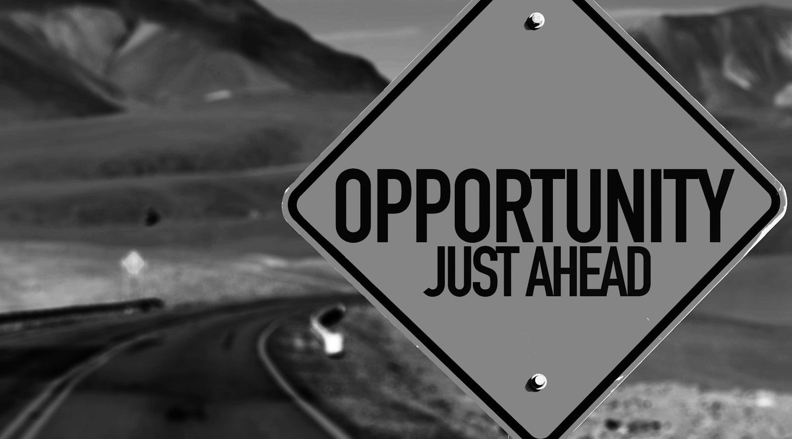 Seize the Opportunity