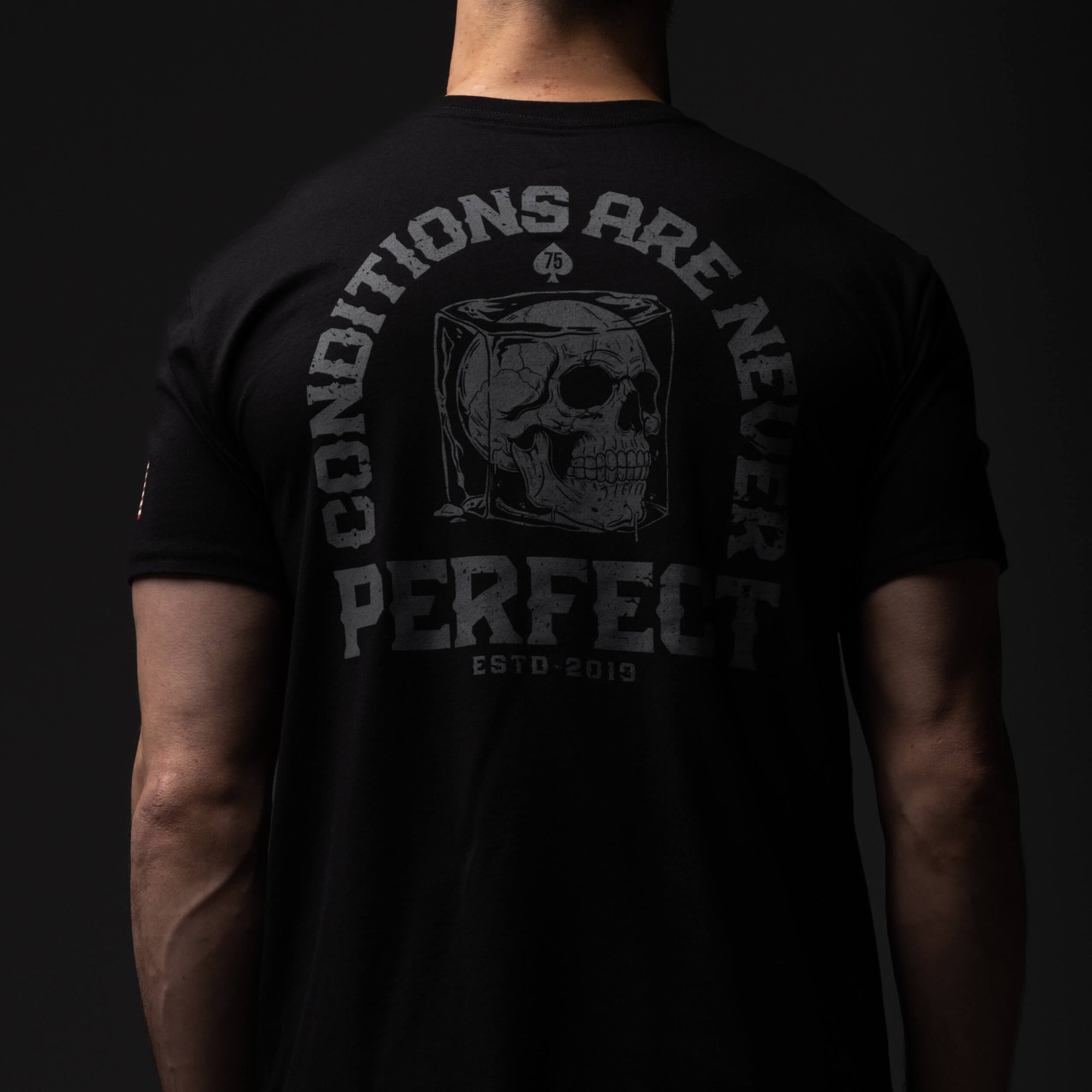 Conditions Are Never Perfect T-Shirt | Andy Frisella