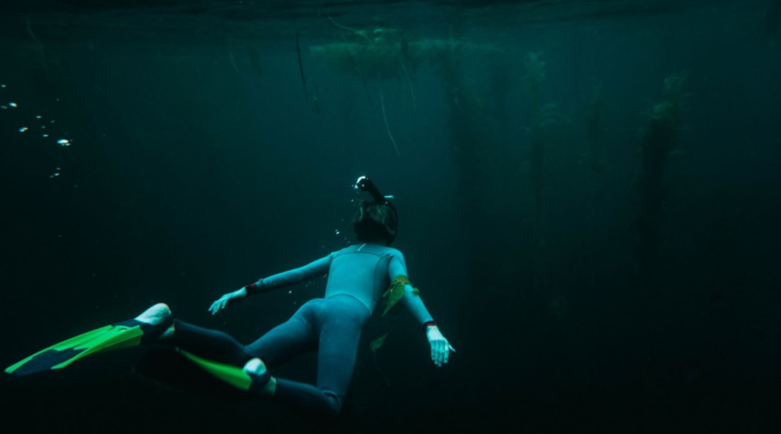 Successful People Think Differently About Risk, with Andy Frisella - MFCEO23