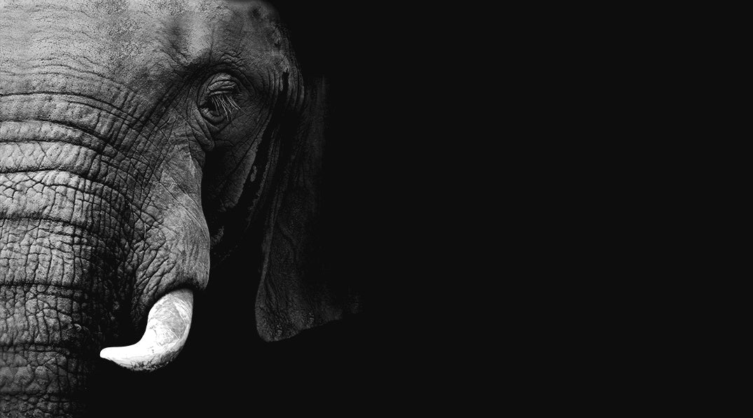 How To Earn Self-Respect From Yourself And Others