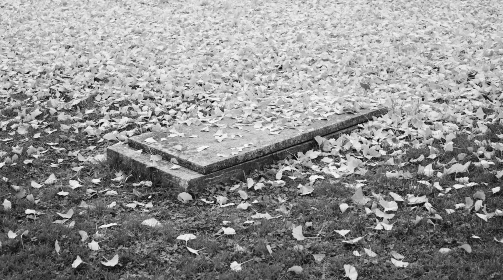 Rest In Peace, Personal Responsibility, with Andy Frisella - MFCEO55