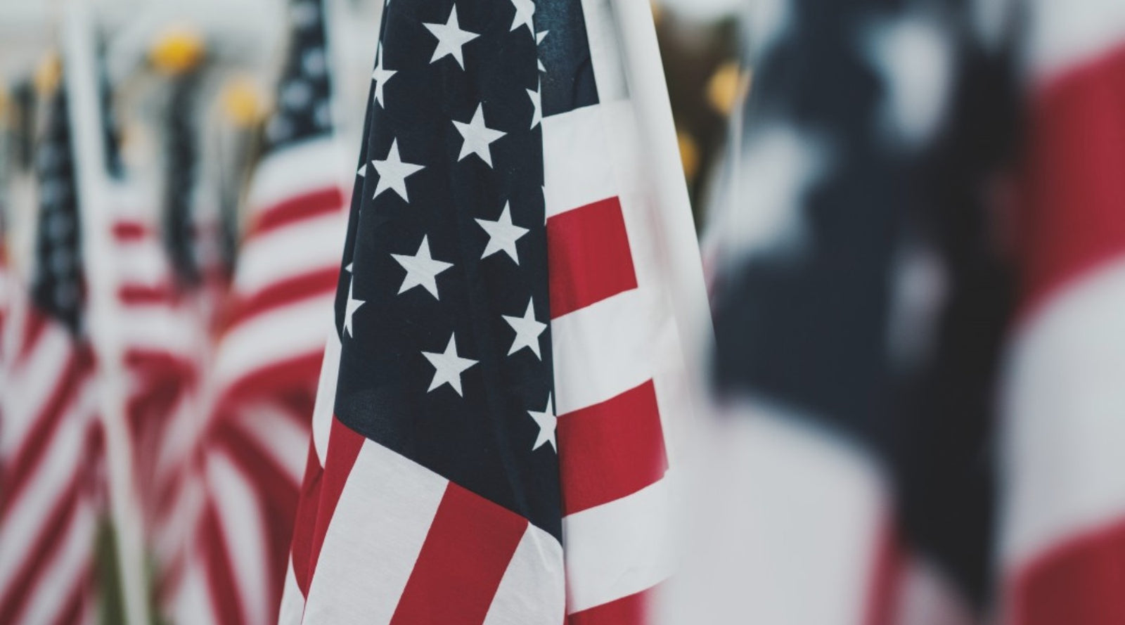 For the 4th:  Success Is Your Obligation