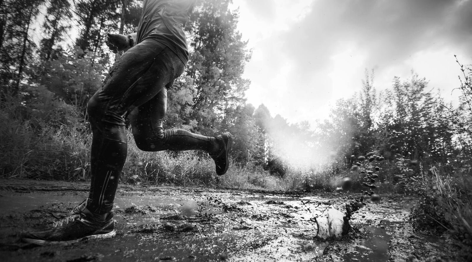 What Does Perseverance Mean?