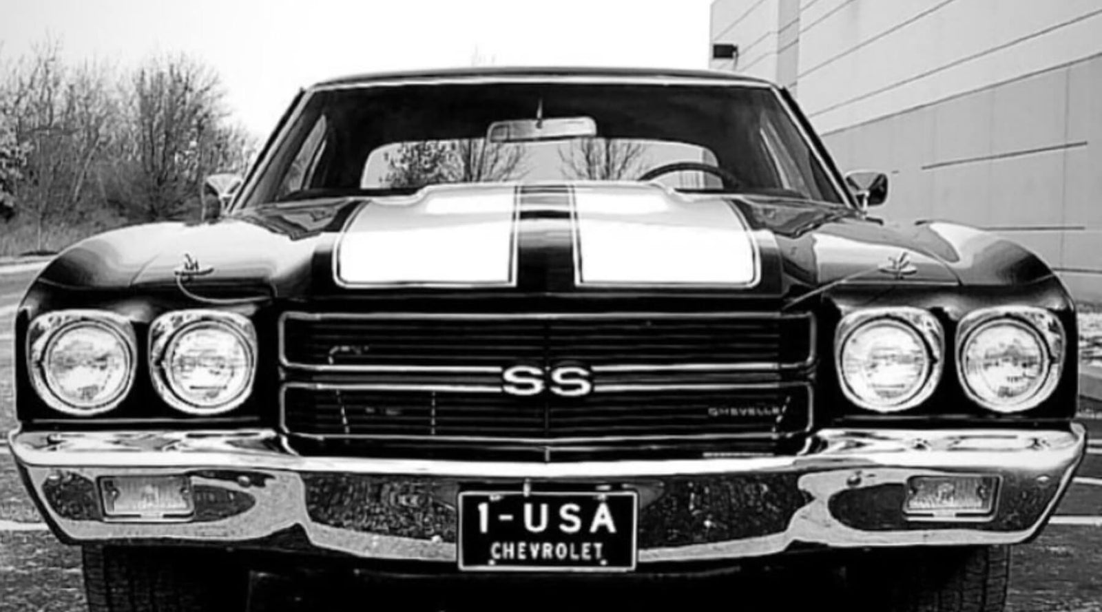 Take Pride In What You Do, with Andy Frisella - MFCEO41