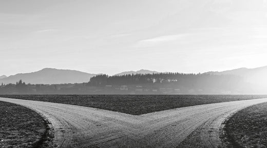 Fork in the Road