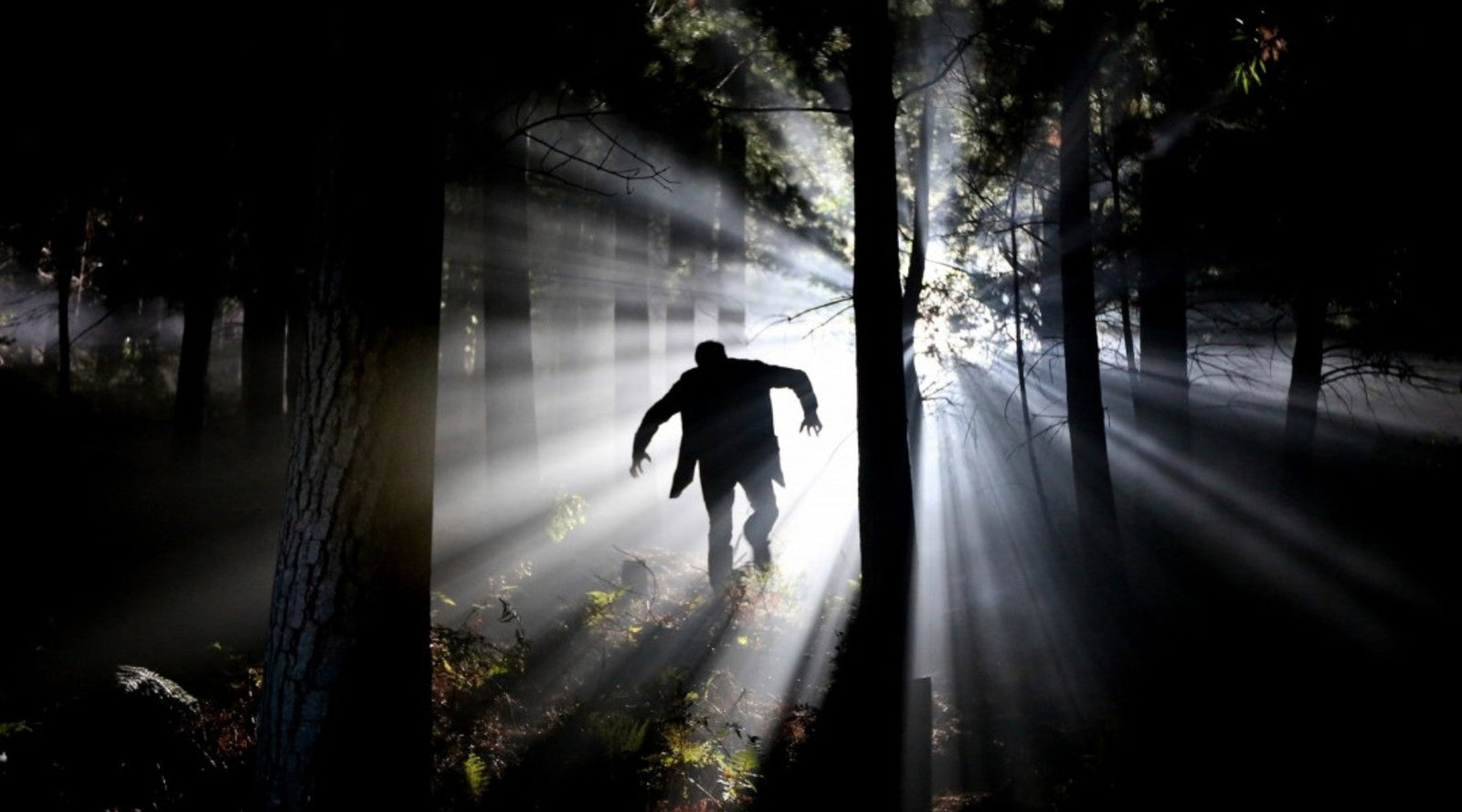 Thank Your Fear, with Andy Frisella - MFCEO92