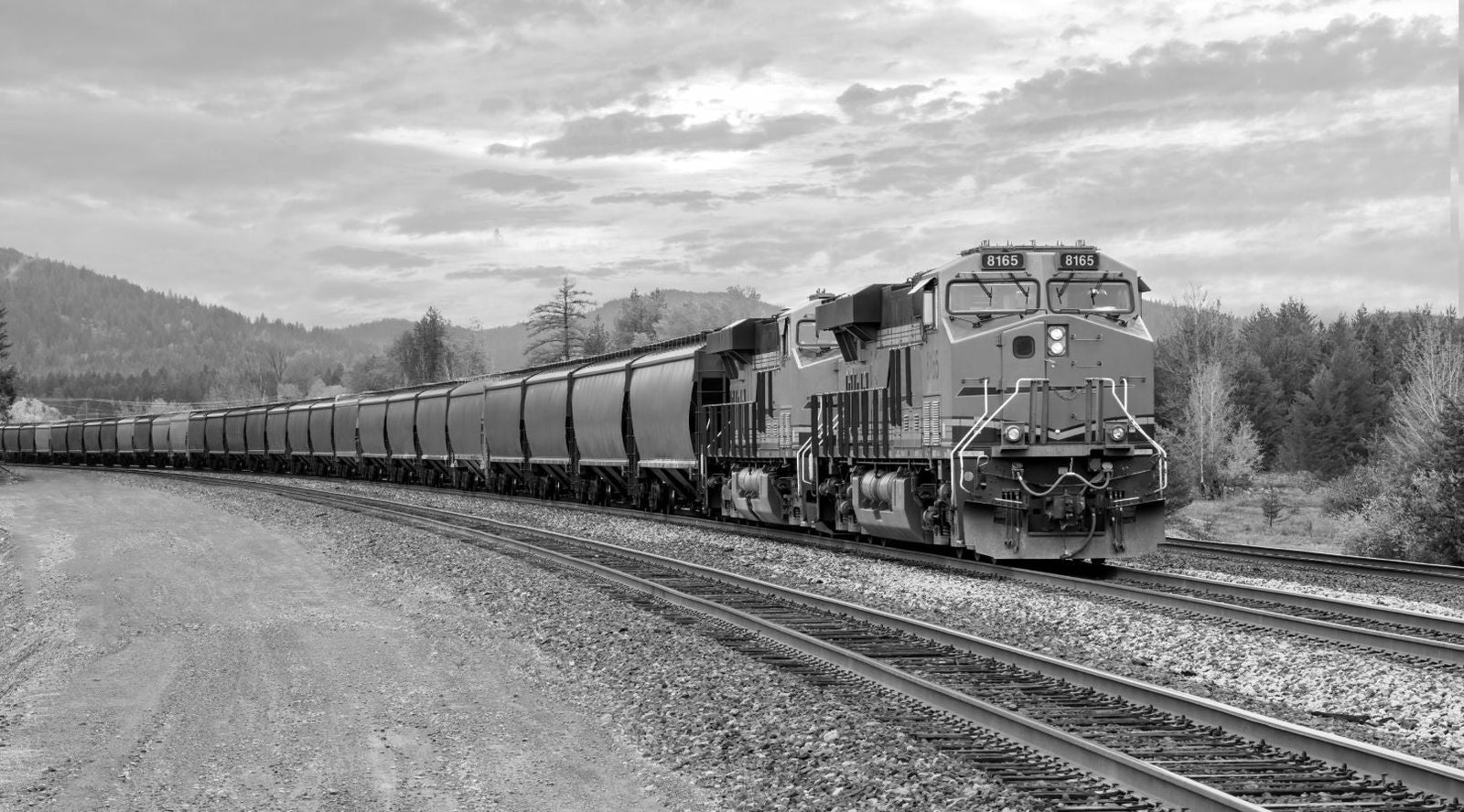 The Power of Momentum