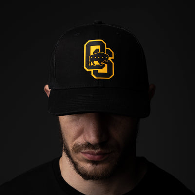 Gold Tier Hat | Andy Frisella