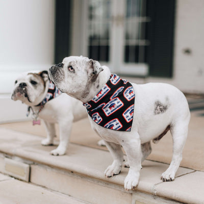 Patch Dog Bandana