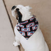 Patch Dog Bandana