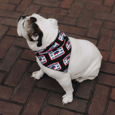 Patch Dog Bandana