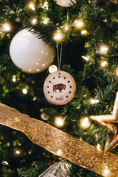 Star Strapped Holiday Ornament