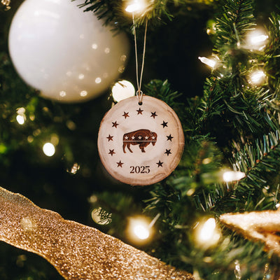 Star Strapped Holiday Ornament