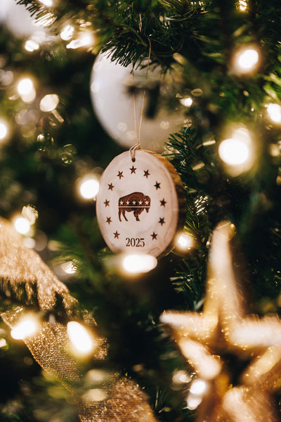 Star Strapped Holiday Ornament